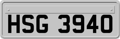 HSG3940