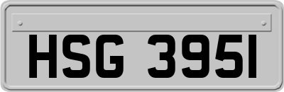 HSG3951