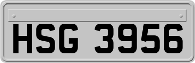 HSG3956