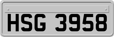 HSG3958