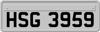 HSG3959