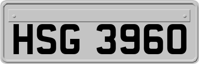 HSG3960