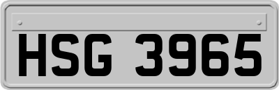 HSG3965