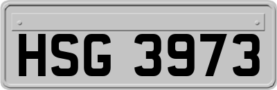 HSG3973
