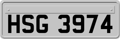 HSG3974