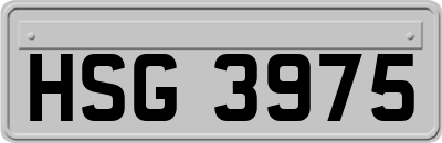 HSG3975