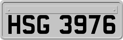 HSG3976