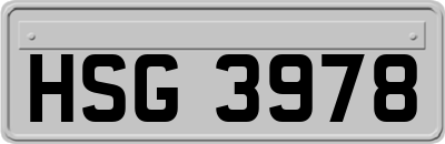 HSG3978