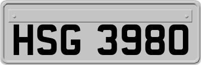 HSG3980