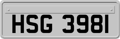 HSG3981