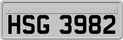 HSG3982
