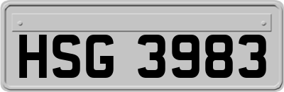 HSG3983