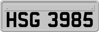 HSG3985