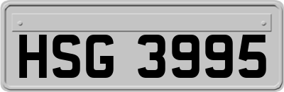 HSG3995