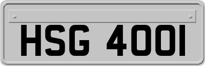 HSG4001