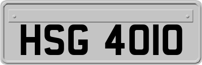 HSG4010