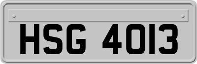 HSG4013