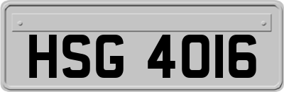 HSG4016