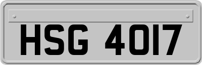 HSG4017