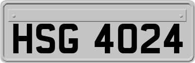 HSG4024