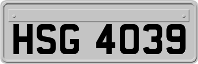 HSG4039