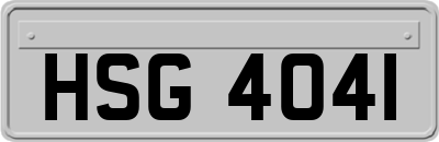 HSG4041