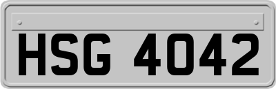 HSG4042