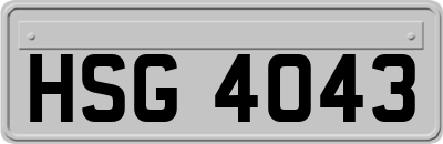 HSG4043