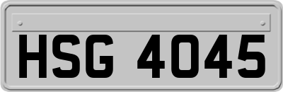 HSG4045