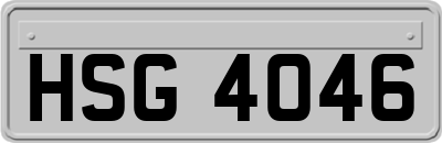 HSG4046