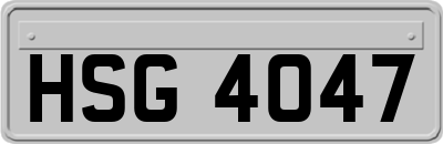 HSG4047