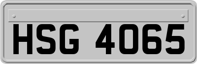 HSG4065