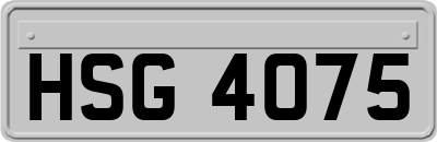 HSG4075