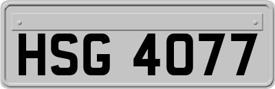 HSG4077
