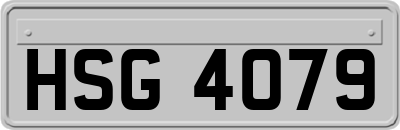 HSG4079