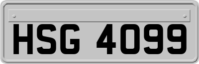 HSG4099