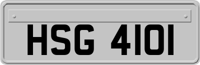 HSG4101