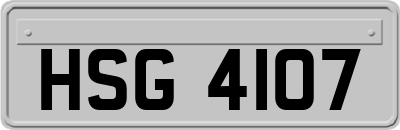 HSG4107