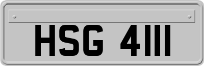 HSG4111