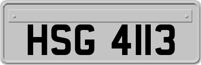 HSG4113