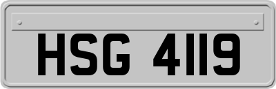 HSG4119