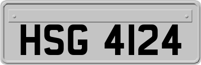HSG4124