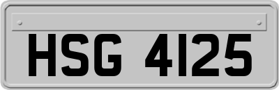 HSG4125