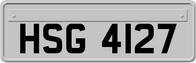 HSG4127