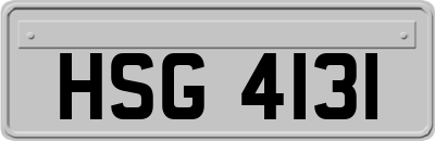 HSG4131