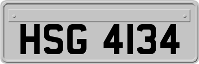 HSG4134
