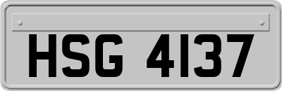 HSG4137