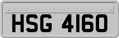 HSG4160