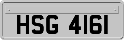 HSG4161