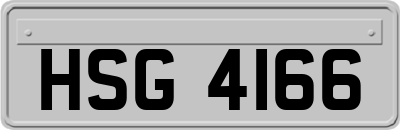 HSG4166